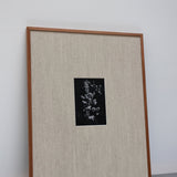 ROHE - Framed Print | Wood