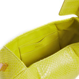 GABRIELA HEARST - Demi Bag in Lime Adamite Snakeskin