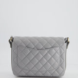 Chanel Wave Strap Bag In Dove Grey Lambskin with Champagne Gold Hardware