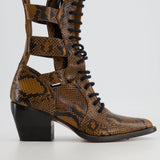 Chloé Brown Python Lace-Up High Knee Cowboy Boots Size EU 41