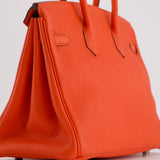 Hermès Birkin 25cm Bag in Capucine Togo Leather and Palladium Hardware