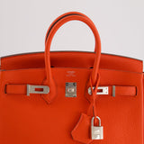 Hermès Birkin 25cm Bag in Capucine Togo Leather and Palladium Hardware