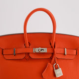 Hermès Birkin 25cm Bag in Capucine Togo Leather and Palladium Hardware