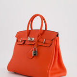 Hermès Birkin 25cm Bag in Capucine Togo Leather and Palladium Hardware