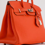 Hermès Birkin 25cm Bag in Capucine Togo Leather and Palladium Hardware