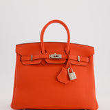 Hermès Birkin 25cm Bag in Capucine Togo Leather and Palladium Hardware