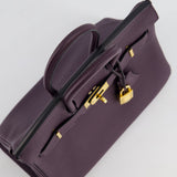 Hermès Birkin 25cm Retourne Bag in Raisin Togo Leather with Gold Hardware