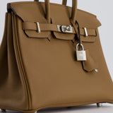 Hermès Birkin Retourne 25cm Bag in Alezan Togo Leather with Palladium Hardware