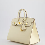 Hermès Birkin 25cm Sellier Bag in Nata Epsom Leather with Gold Hardware