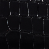 Khaite - Cate Alligator Bag in Black Alligator